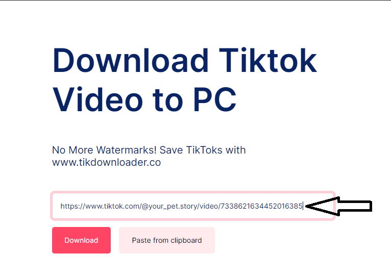 TikTok Sound DownloaderMP4