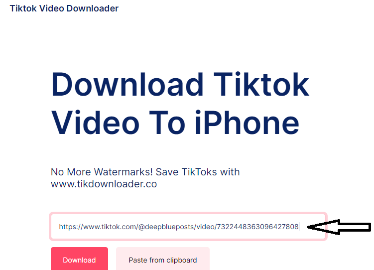 TikTok Video Ideas