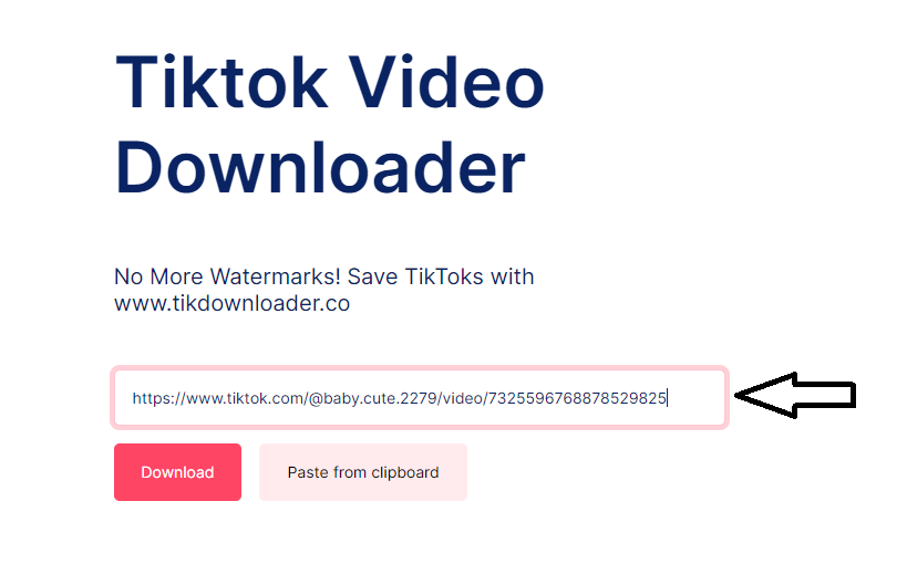 TikTok Video to MP3